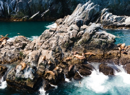 Фото организации