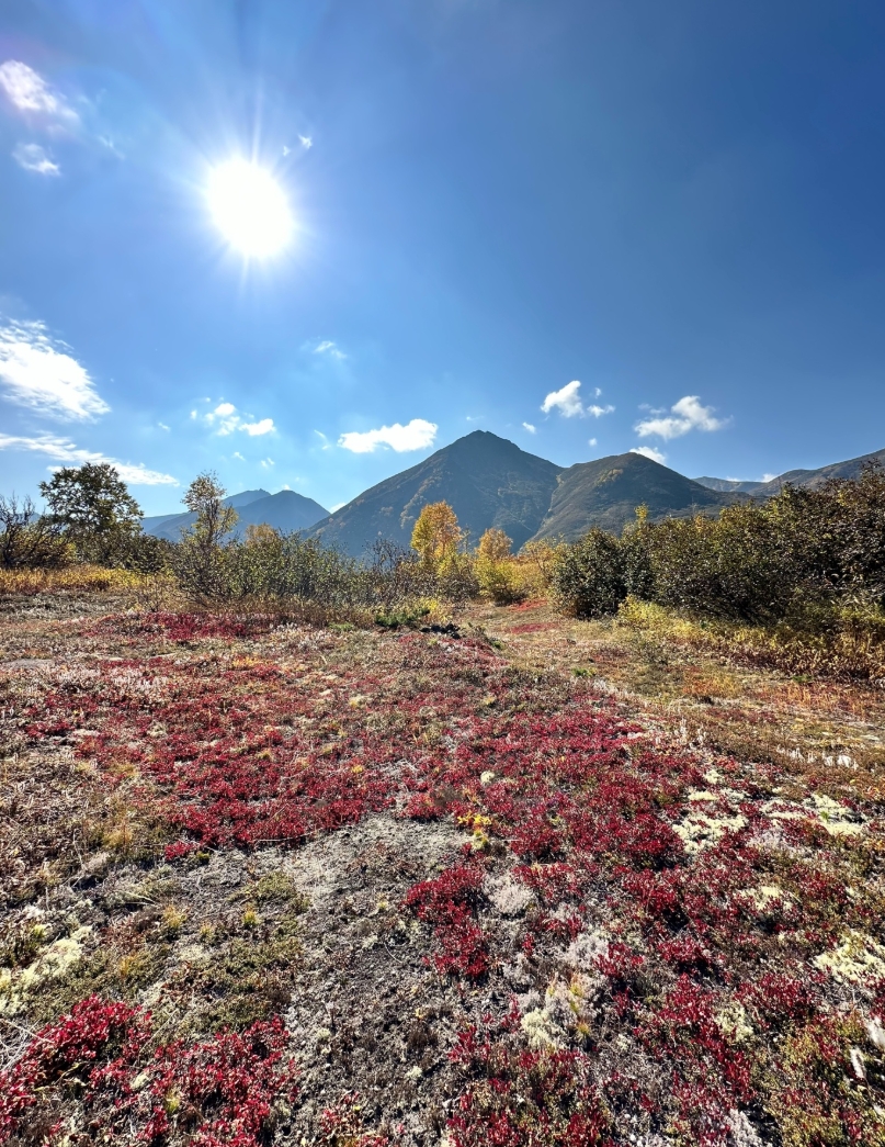 Фото организации