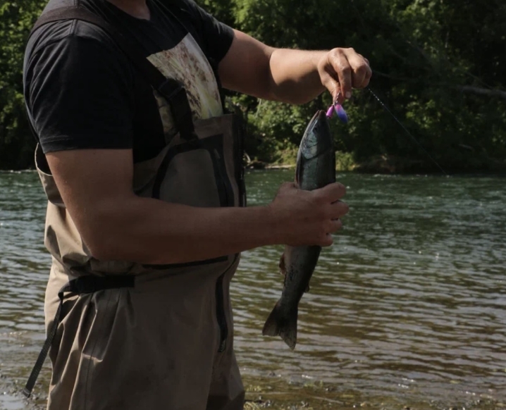 Фото организации