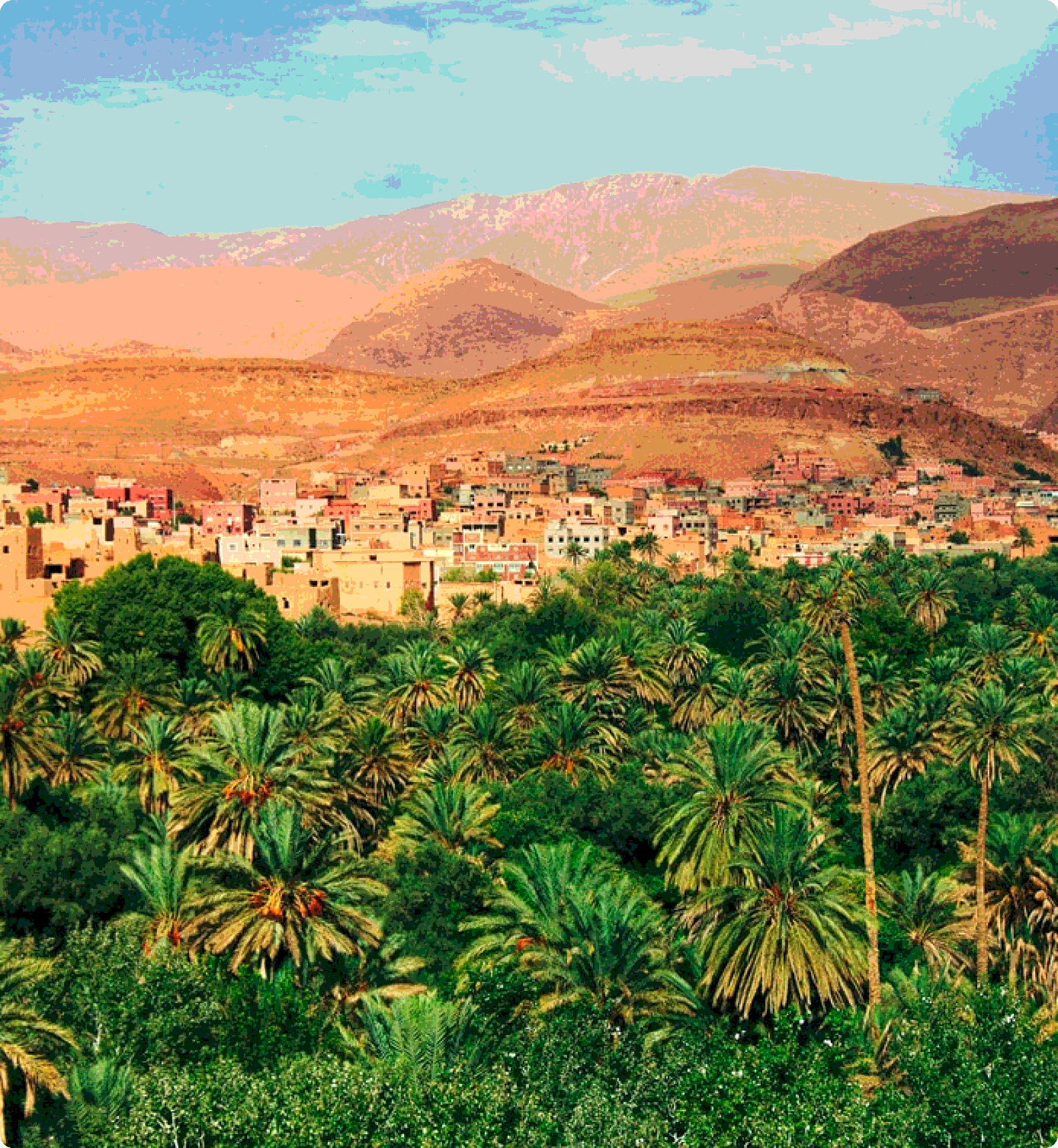 Фото организации