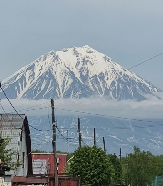 Фото организации
