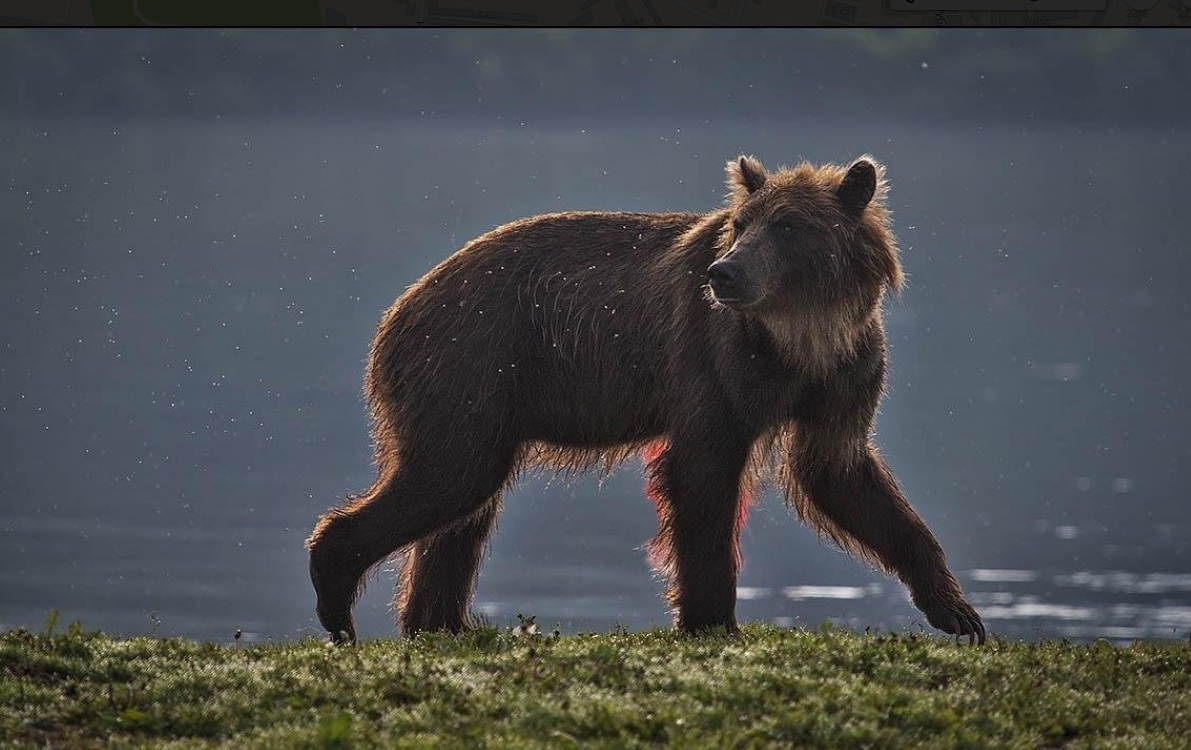 Фото организации