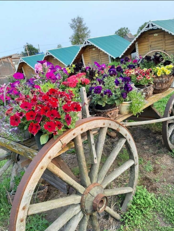 Фото организации