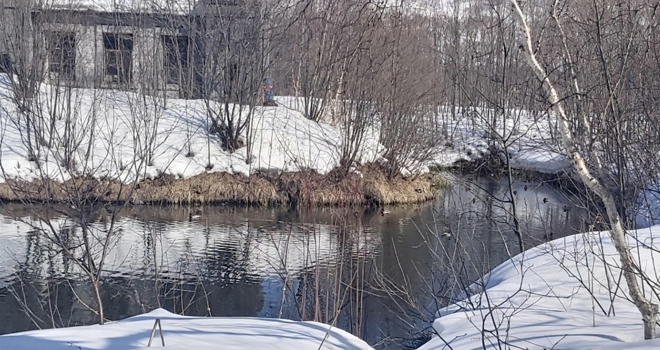 Фото организации