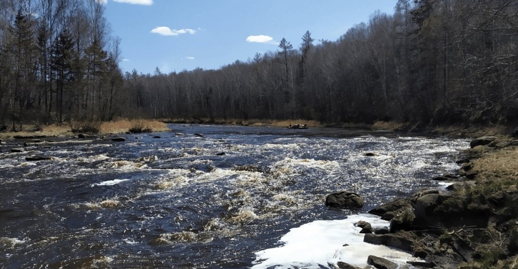 Фото организации