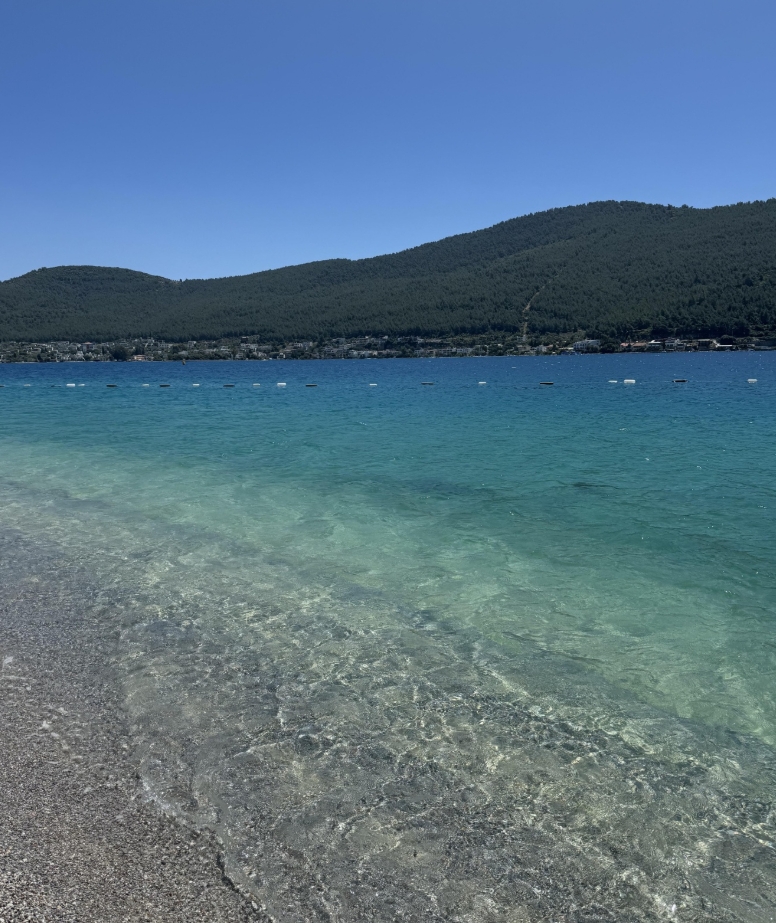 Фото организации