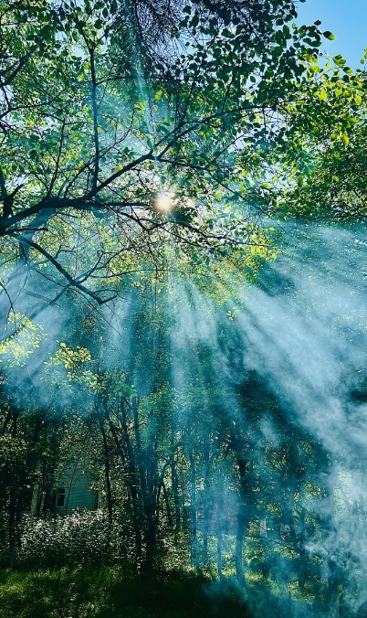 Фото организации