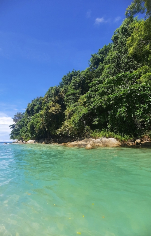 Фото организации