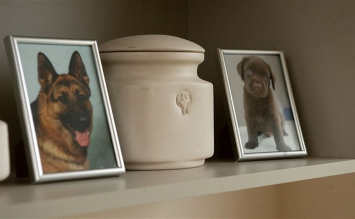 Профессиональная кремация животны