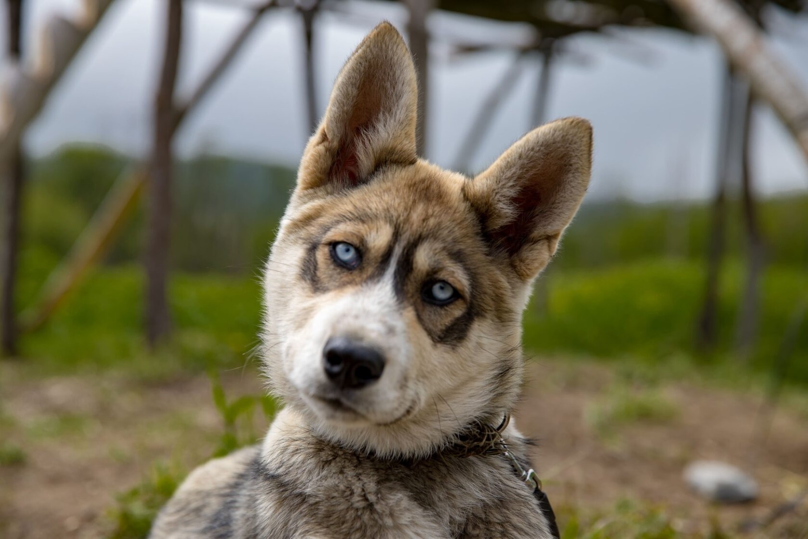 Экскурсия «Душа Камчатки»