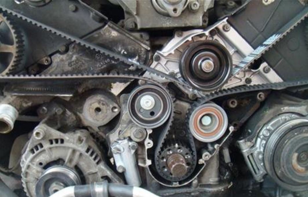 Фото организации