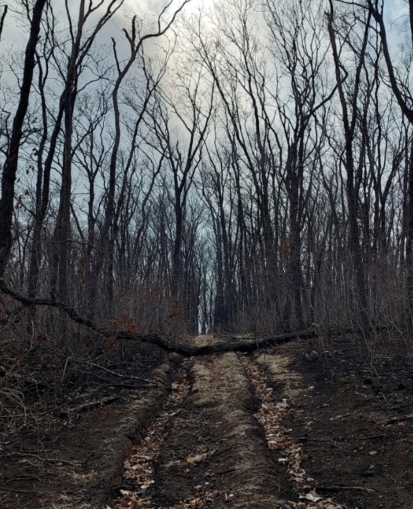 Фото организации