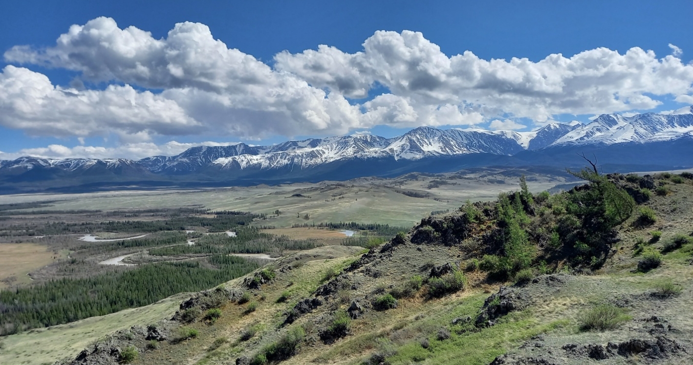 Фото организации
